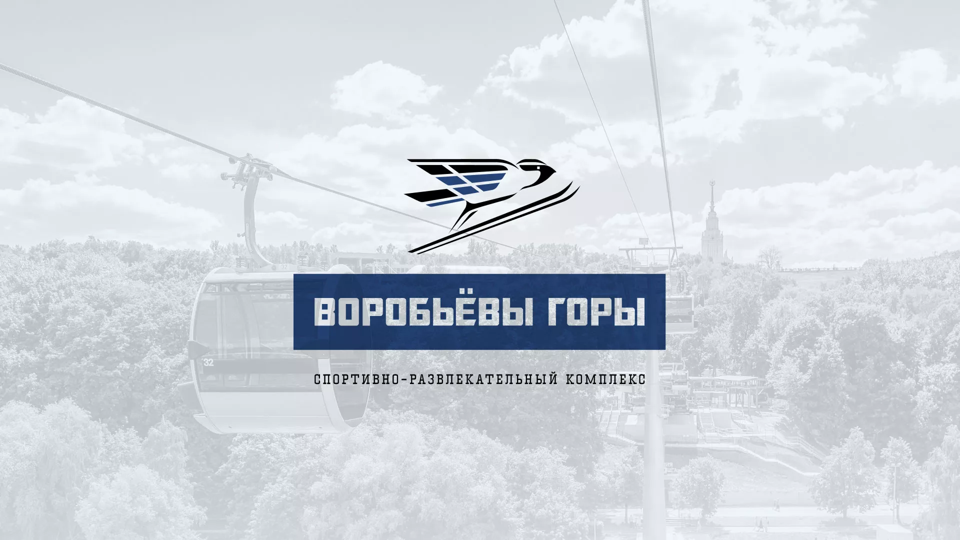 Разработка сайта в Сосновке для спортивно-развлекательного комплекса «Воробьёвы горы»
